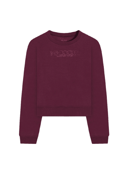 Brushed Fleece New Future Ml Pitaya
